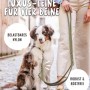 Grüne Rudelkönig Hundeleine Bella, 20mm breit, 230cm lang, mit gepolstertem Griff und Hund.