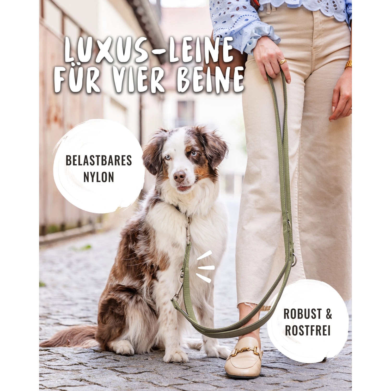 Grüne Rudelkönig Hundeleine Bella, 20mm breit, 230cm lang, mit gepolstertem Griff und Hund.