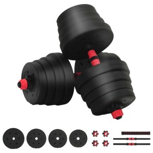 vidaXL 2-in-1 Hantelset, 30kg, schwarz-rot, für vielseitiges Krafttraining.
