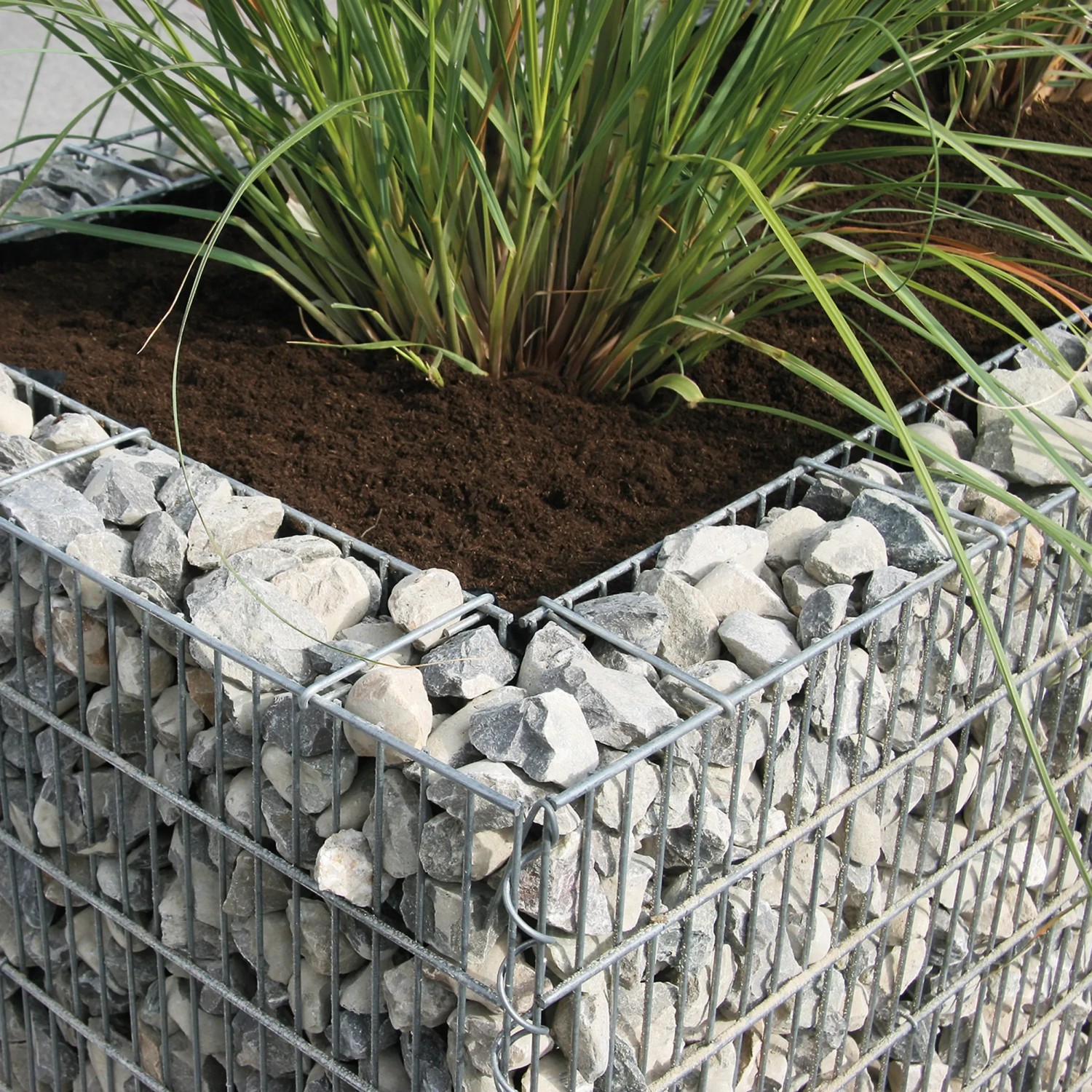 Bellissa Gabionen-Hochbeet Premium, verzinkt, 120x75x100 cm, befüllt mit Steinen und Pflanzen.