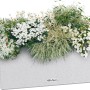 Lechuza Balconera Stone 50 Quarzweiß, bepflanzter Blumenkasten mit Bewässerungssystem.