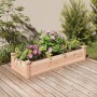 vidaXL Hochbeet mit Einsatz 120x45x25 cm Massivholz Tanne 364286_2