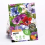 GROW by OBI Anemone De Caen Blumenzwiebeln mit bunten Blüten in Rot, Blau, Violett und Weiß.