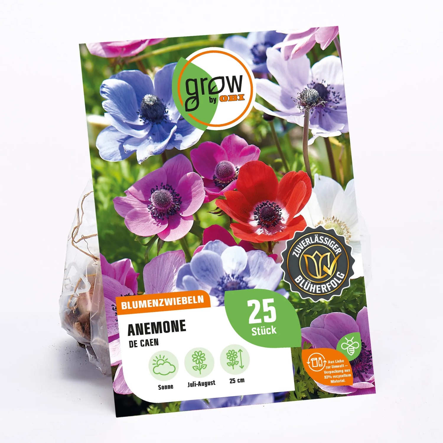 GROW by OBI Anemone De Caen Blumenzwiebeln mit bunten Blüten in Rot, Blau, Violett und Weiß.