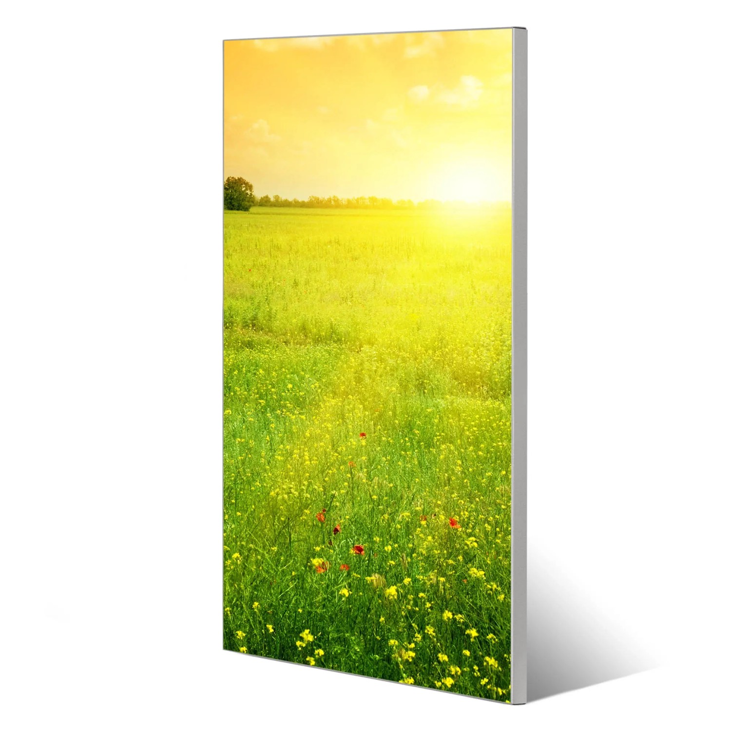 Banjado Magnettafel 37x78cm mit Landschaftsmotiv 'Guten Morgen 2', silberne Magnetwand für Notizen mit 4 Magneten.