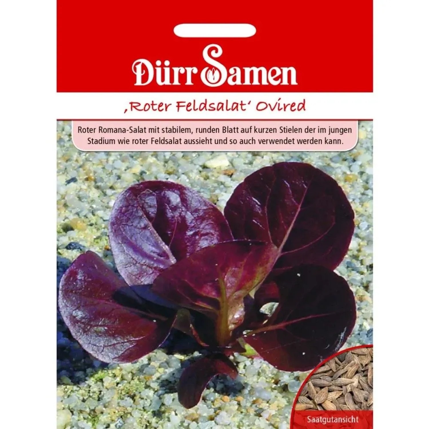 Dürr Samen Roter Feldsalat Ovired Saatgut