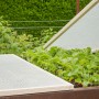 Windhager Gitterfolie schützt Gemüsebeet mit jungen Pflanzen vor Unkraut und Schädlingen.
