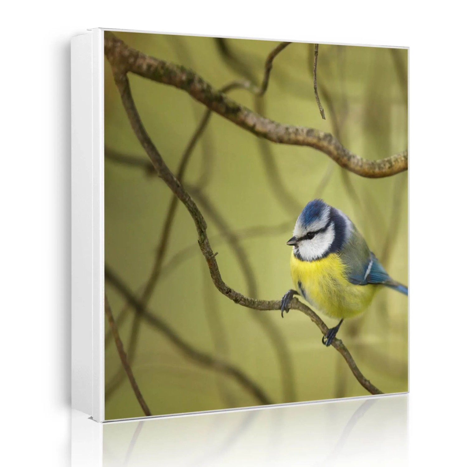 Banjado Großer Schlüsselkasten Metall 30x30cm Weiß Scharnier Rechts 50 Haken Beschreibbar Magnetisch Motiv Blaumeise Im Baum