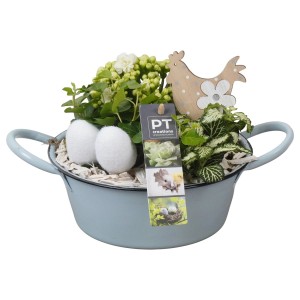 Bepflanzte Oster-Zinkschale mit Kalanchoe, Fittonie, Efeu und Deko-Ei in hellblauer Schale.