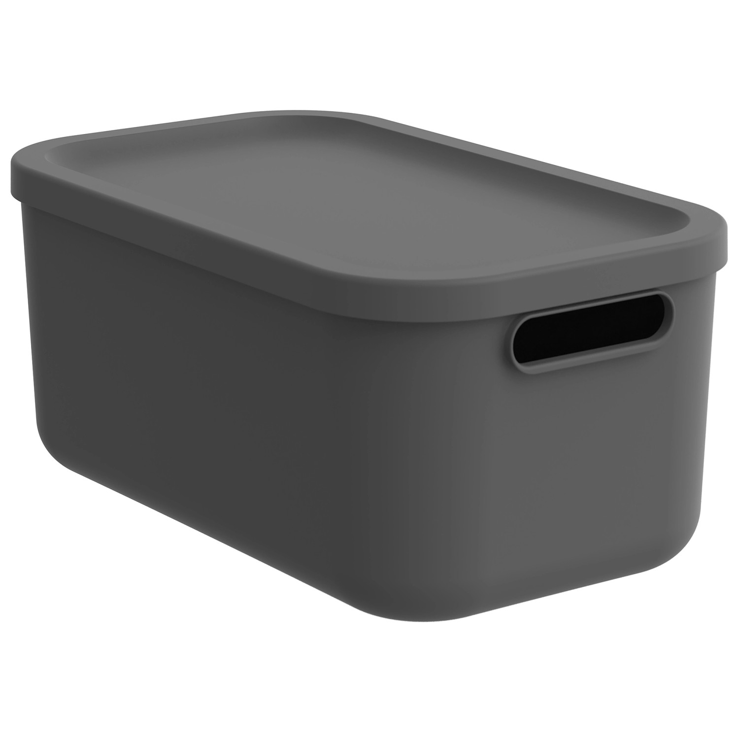 Rotho Multibox Albula 12, Anthrazit