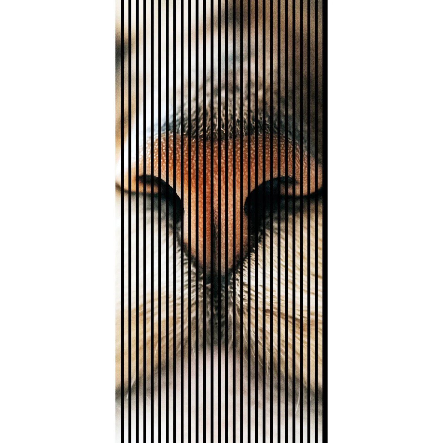 FN Acustico Akustikplatte Cat 1 PET u. MDF Foliert 1.133 x 19 x 2.400 mm