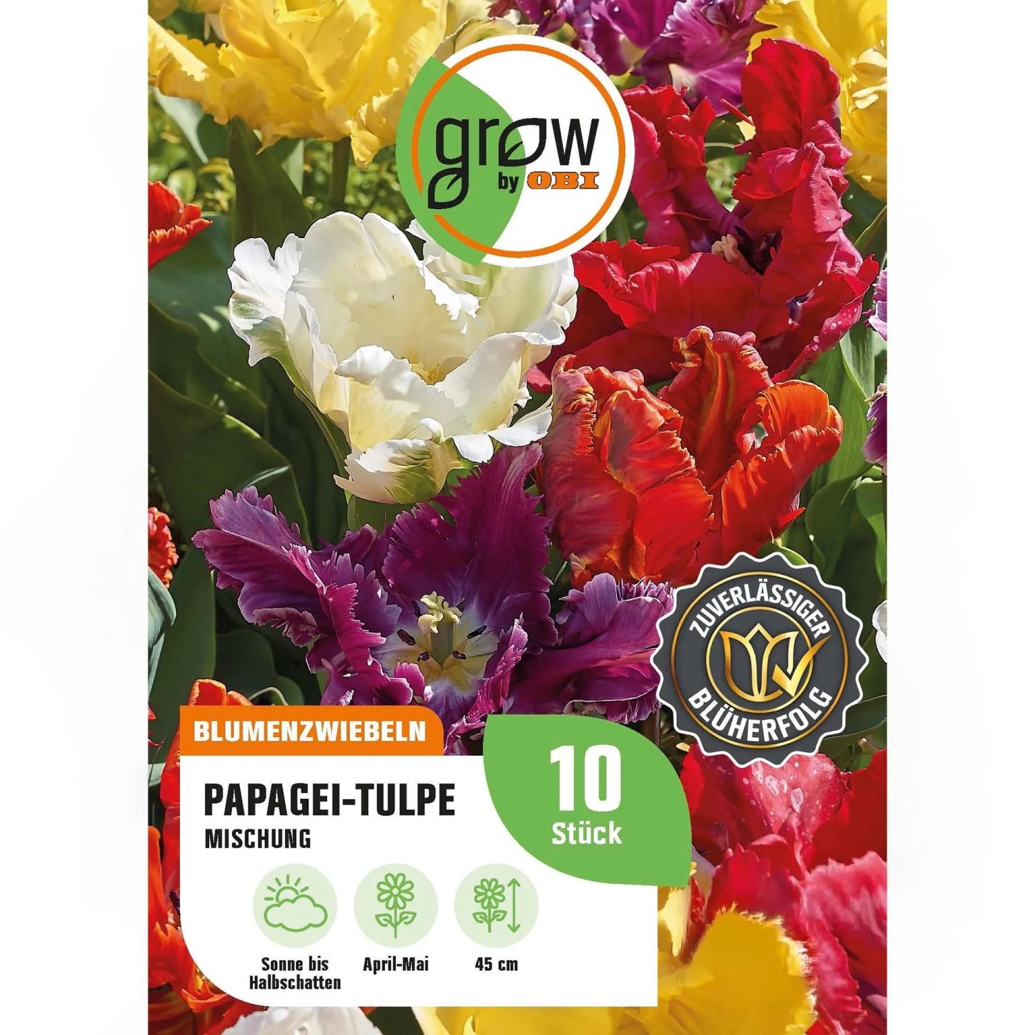 GROW by OBI Papagei-Tulpen Papegei Mischung 8 Stück Tulipa parrot Mixed