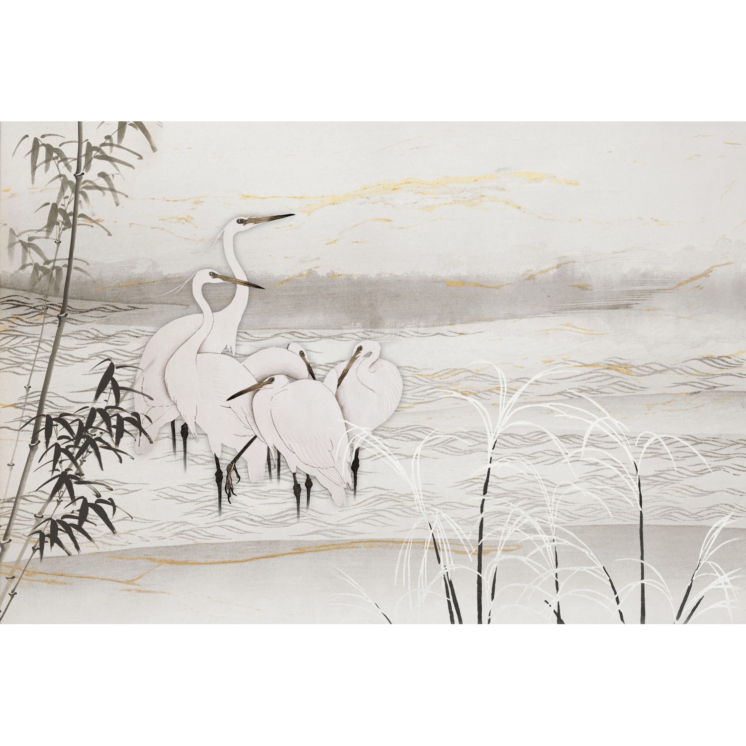 Erismann Fototapete Guido Maria Kretschmer Birds of Asia Weiß 4,0m x 2,7m