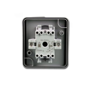 Grauer TEM Fontana Doppel Taster, Rückseite mit schraublosen Steckklemmen für 250V/10A. IP44 Aufputz-Schalter für Feuchträume.