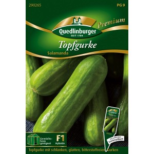 Samenpackung Quedlinburger Topf-Snackgurke 'Salamanda', grüne, glatte Gurken.