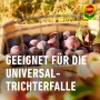Compo BIO Pflaumenwickler Lockstoff, 3 Stück, in Holzkiste mit Pflaumen.