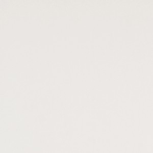 Grosfillex Wandpaneel Element, weiße, matte Dekor-Paneele für Wand- und Deckenverkleidung, 260x37,5 cm.