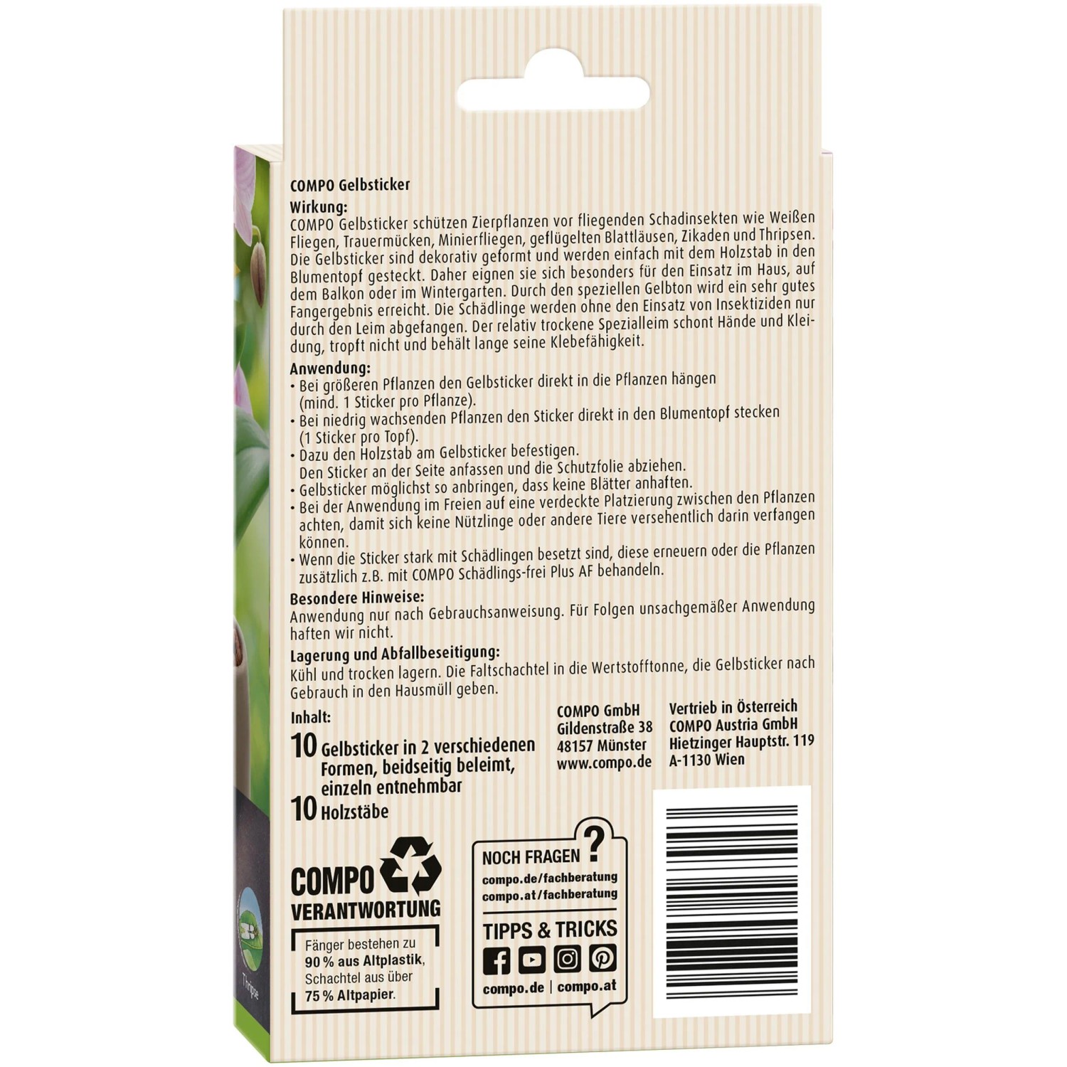 Compo BIO Gelbsticker 10er-Packung zur Schädlingsbekämpfung an Zierpflanzen.