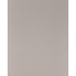 Beige WALLFACE Wandpaneel 24787 RAW Pale Grey, matte Uni-Optik, strukturierte Oberfläche.