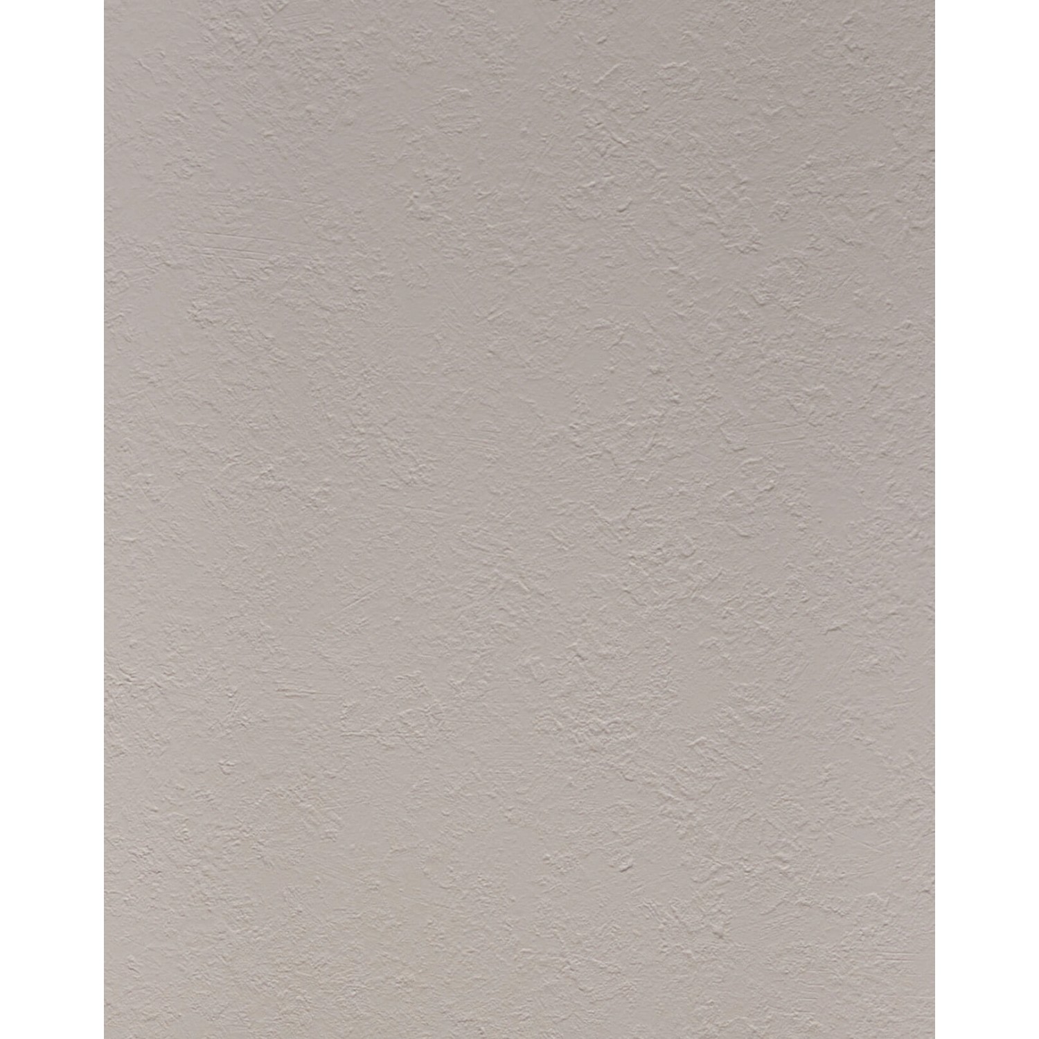 WALLFACE 24787 RAW Pale Grey Wandverkleidung Unifarben Matt Beige 2,6 m2 26 günstig online kaufen