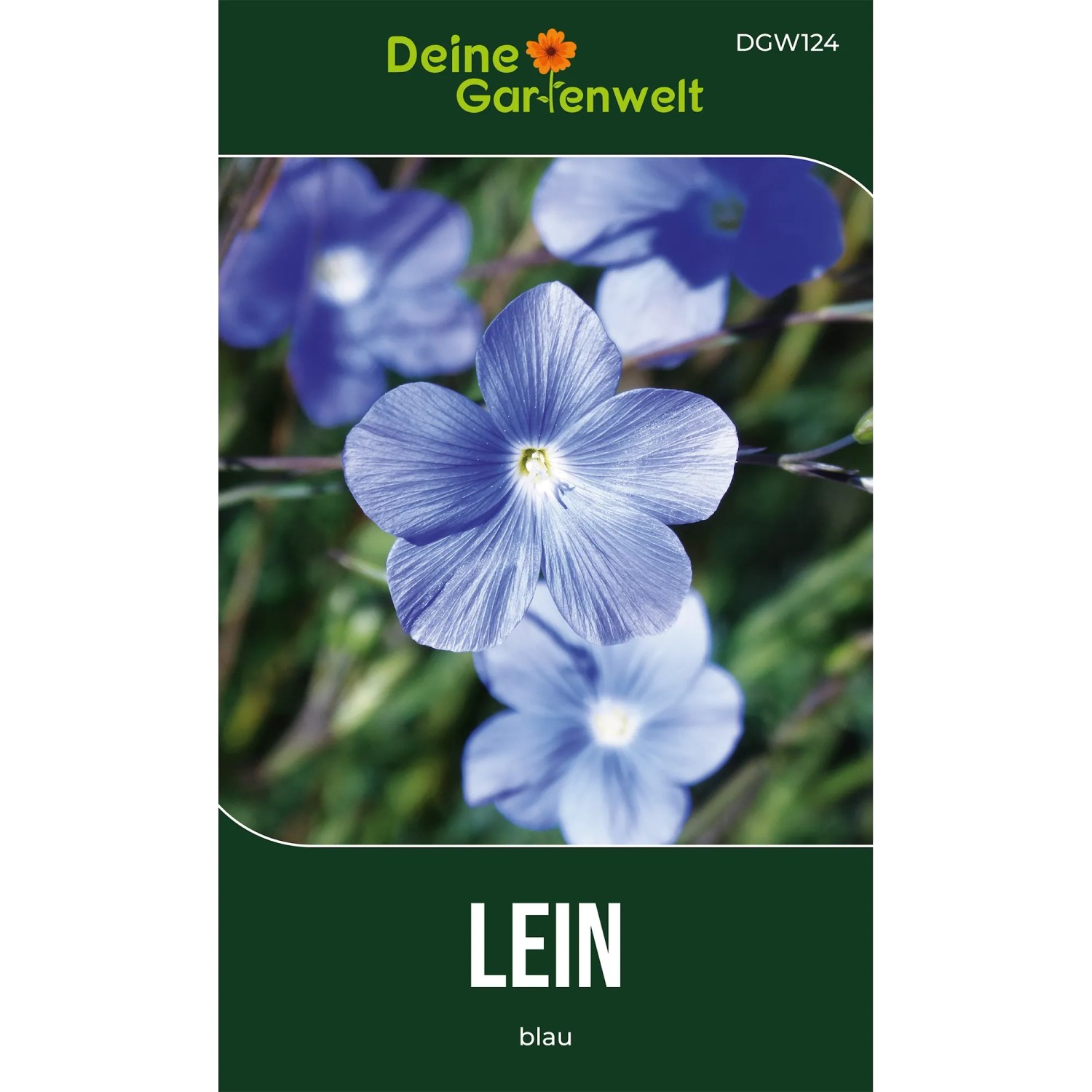 Deine Gartenwelt Staudenlein Blau Samen