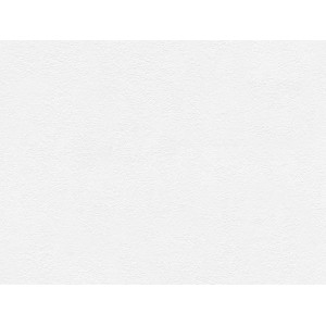 A.S. Creation Vliestapete Avanti Uni Weiß mit leichter Struktur.