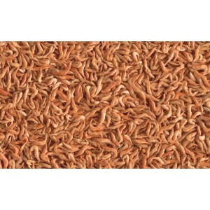 Tetra ReptoDelica Shrimps, Reptilienfutter: Getrocknete Shrimps als Futter für Wasserschildkröten.