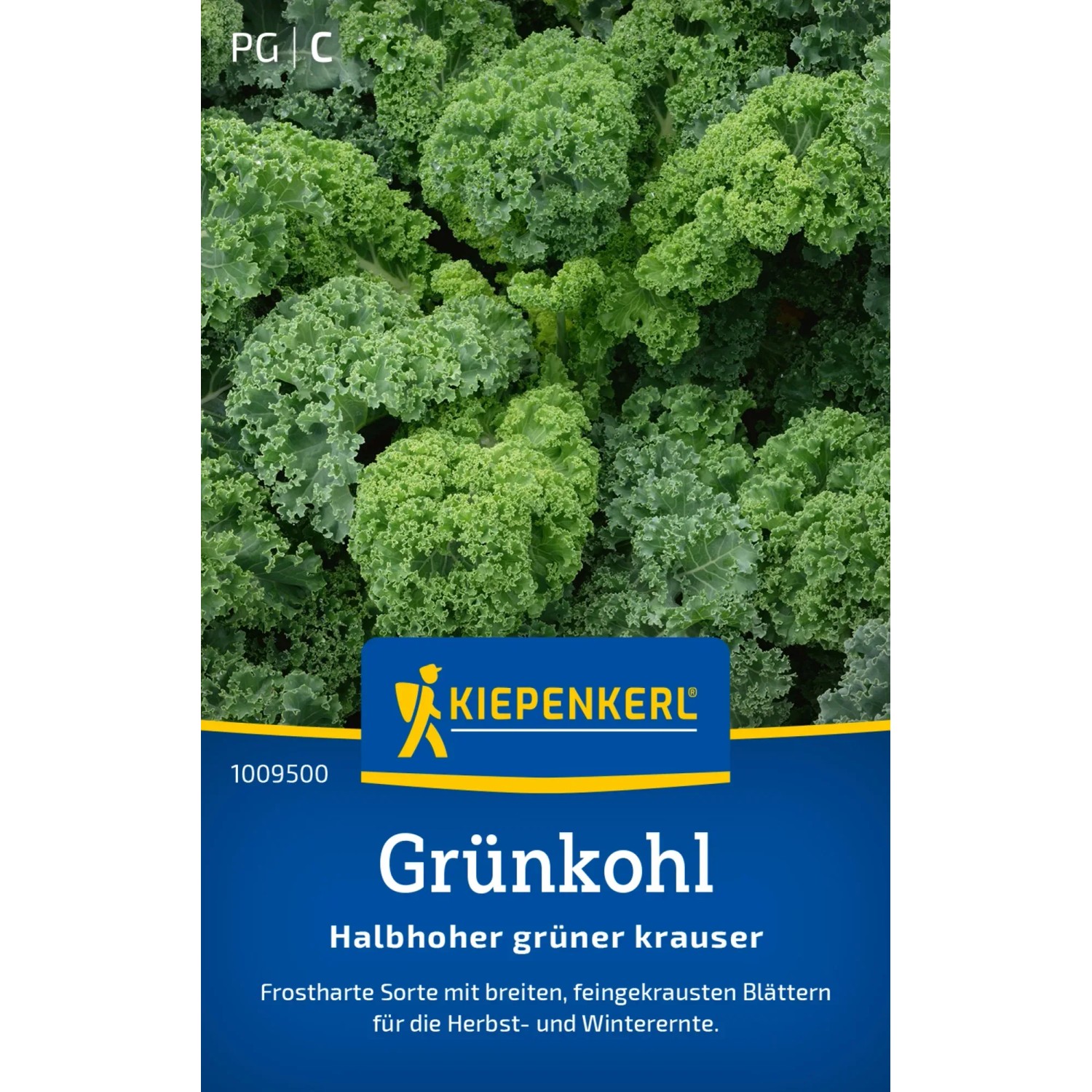 Kiepenkerl Grünkohl "Halbhoher Grüner Krauser"