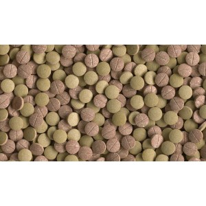 Tetra Tablets TabiMin XL Fischfutter Tabletten für größere Bodenfische, hellbraun und grün.