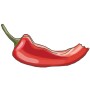 Illustration einer roten Snack-Chili Paprika, angebissen, Fruchtgemüse.