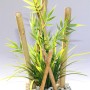 Künstliche Bamboo Aquariumpflanze, 25 cm hoch, für die Dekoration von Aquarien und Terrarien.