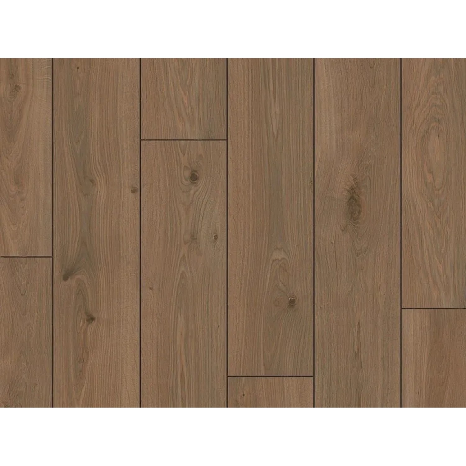 Parador Laminat Trendtime 1 Walnuss Holzstruktur Landhausdiele
