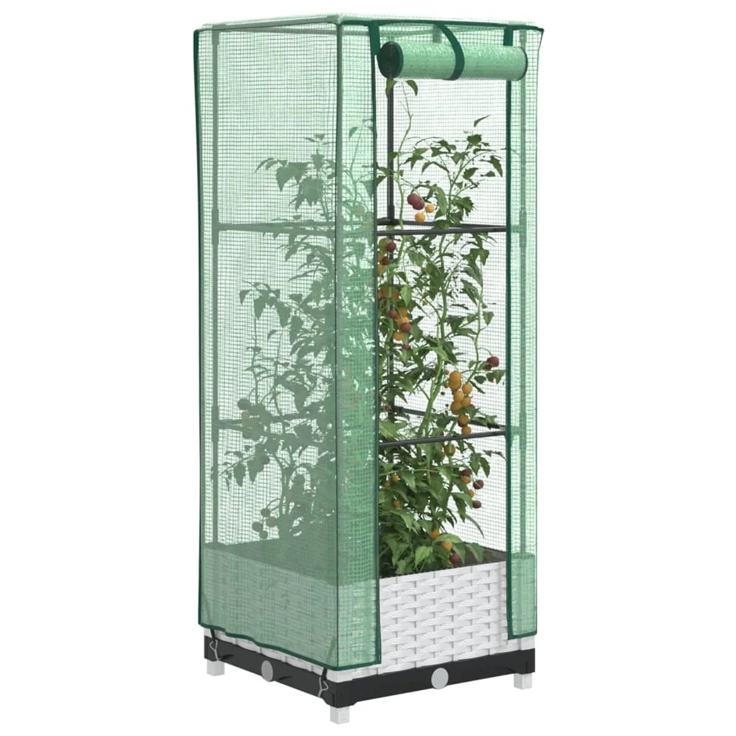 Hochbeet mit Gewächshaus-Aufsatz in Rattan-Optik, 40x40x123 cm, mit Pflanzen im Inneren.