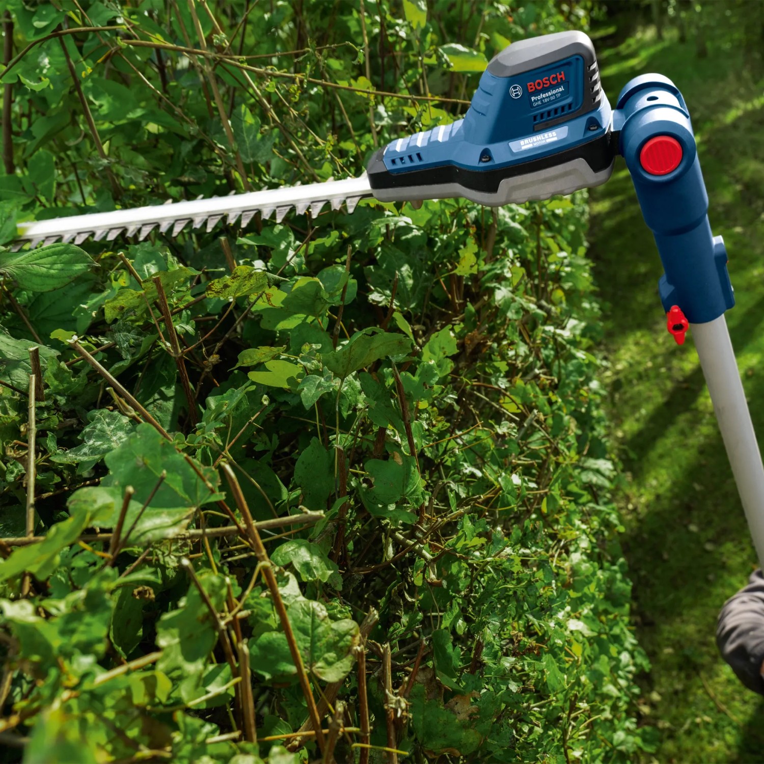 Bosch Akku-Teleskopheckenschere GHE 18V-50 TP Solo beim Heckenschnitt.