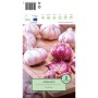 2 Stück Knoblauch Allium sativum Morado auf Holzbrett, Pflanzkartoffeln & Steckzwiebeln.