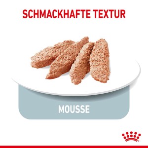 Royal Canin Light Weight Care Nassfutter Mousse für Hunde auf einem Teller.