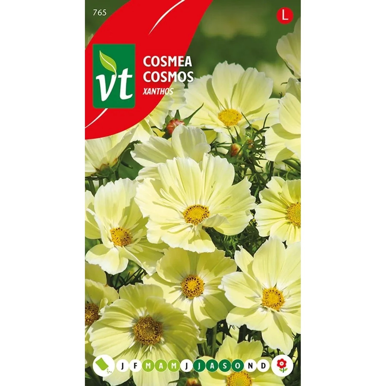 Kosmee 'Xanthos' Samen Ca. 1 g Gelbe Blüten