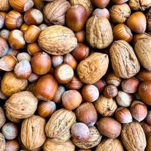 Supravit Frische Nüsse Mix für Eichhörnchen Ganzjahresfutter
