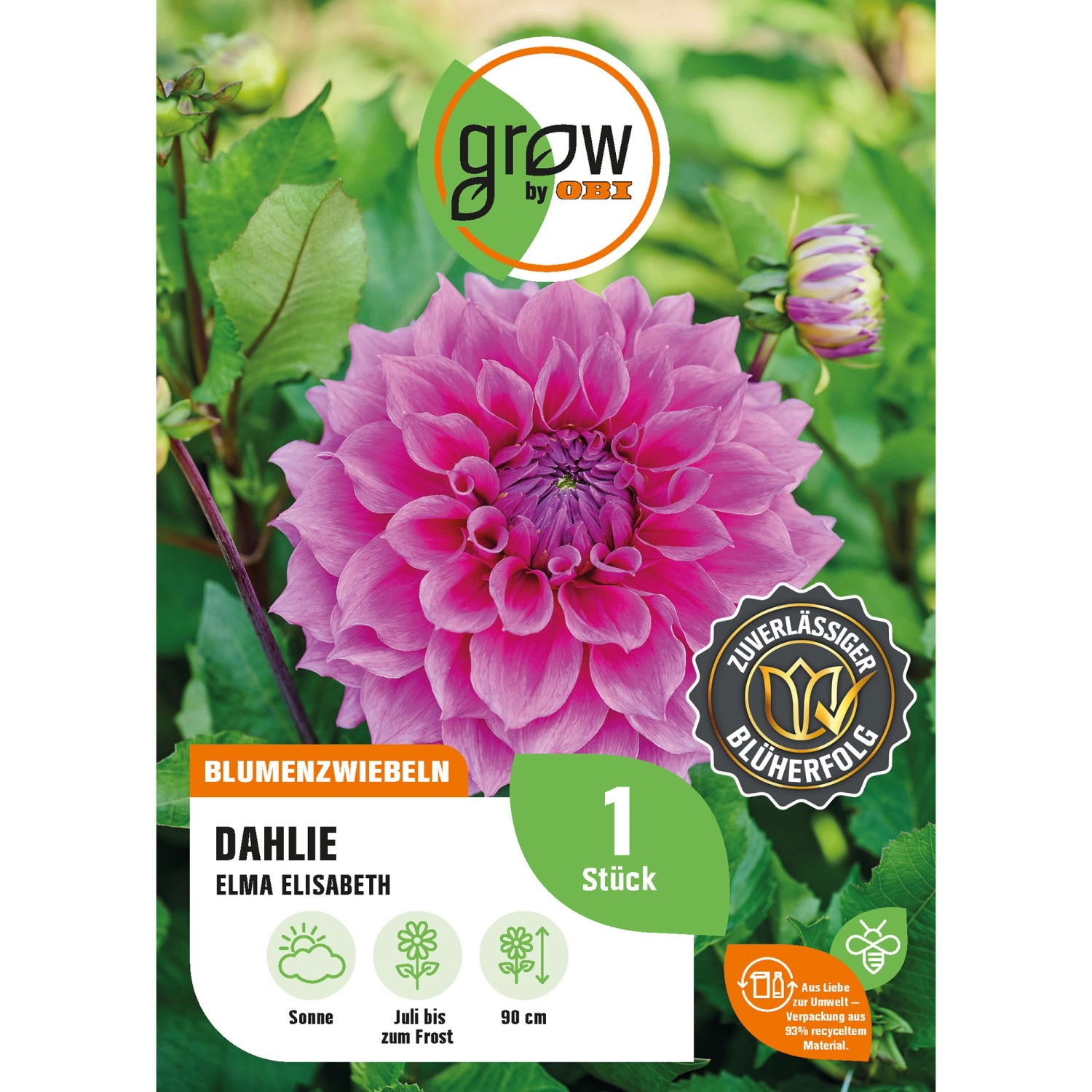 GROW by OBI Dahlie Elma Höhe ca. 90 cm günstig online kaufen