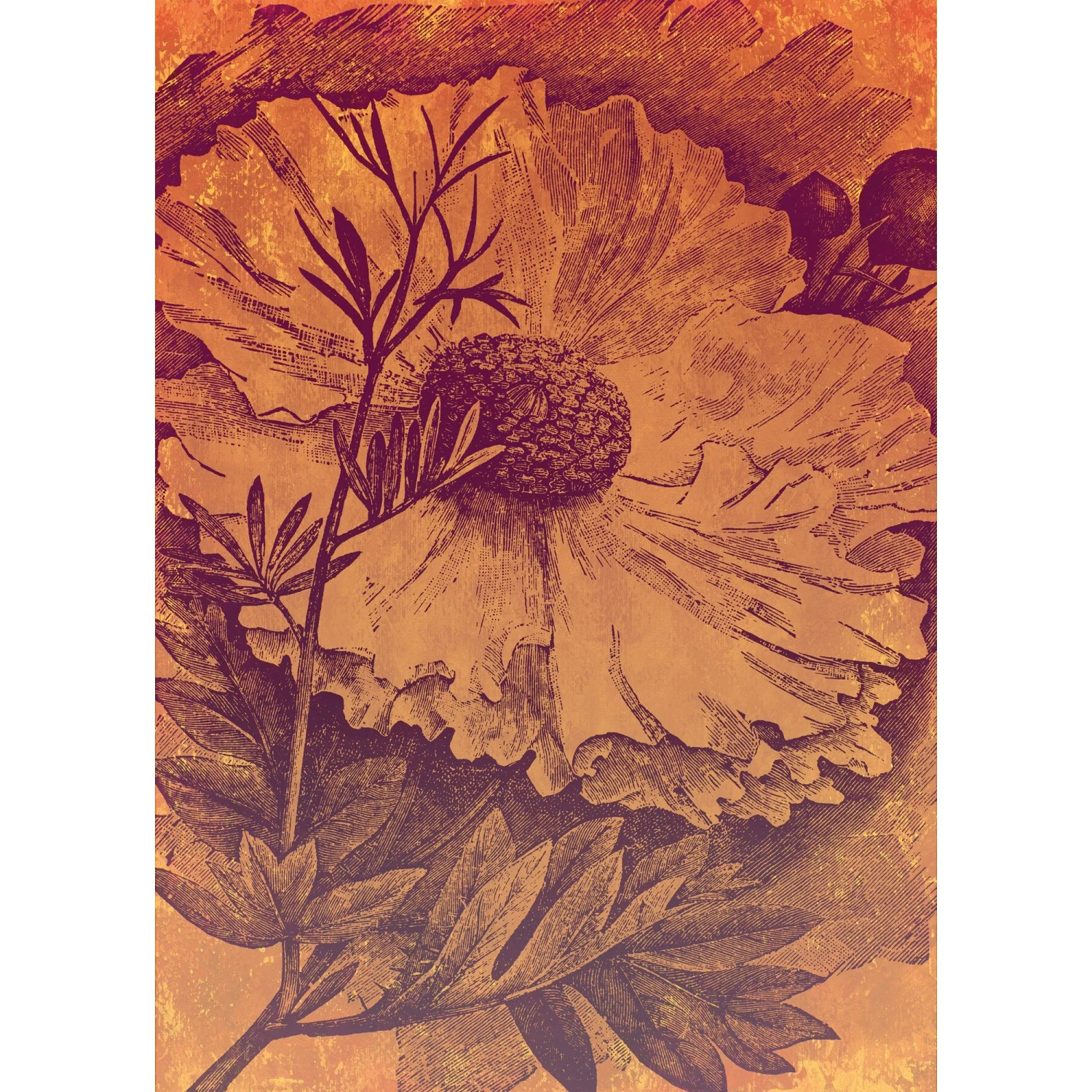 Komar Fototapete Vliestapete Harvest, glatt, bedruckt, geblümt, floral, realistisch, 200 x 280 cm