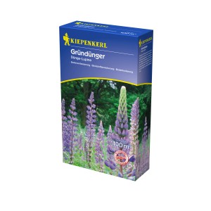 Kiepenkerl Gründünger Dünge-Lupine 2kg Packung mit blühenden Lupinen zur Bodenverbesserung.