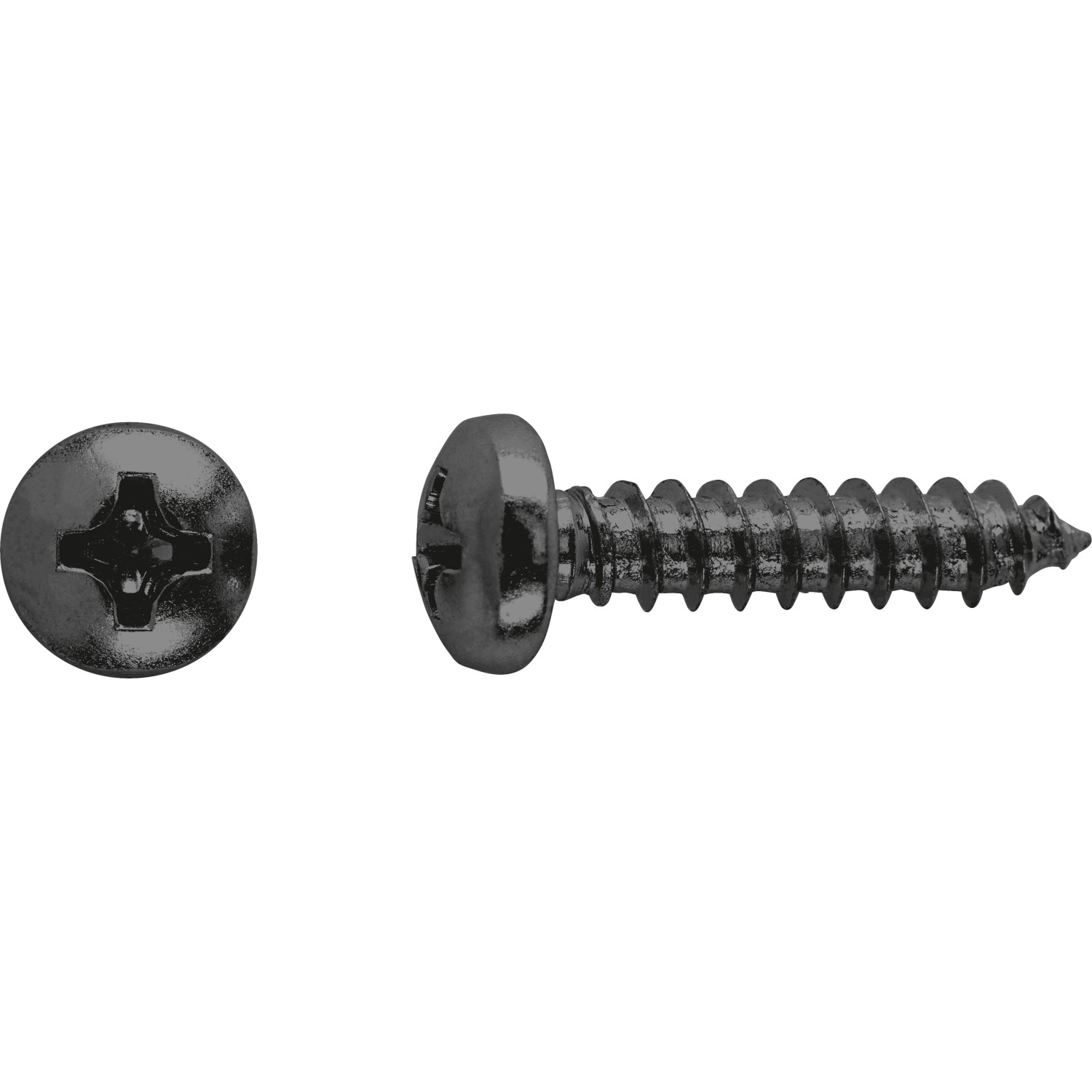 Linsenkopf Universalschraube PH-Antrieb Ø 4,8 mm x 19 mm 12 Stück