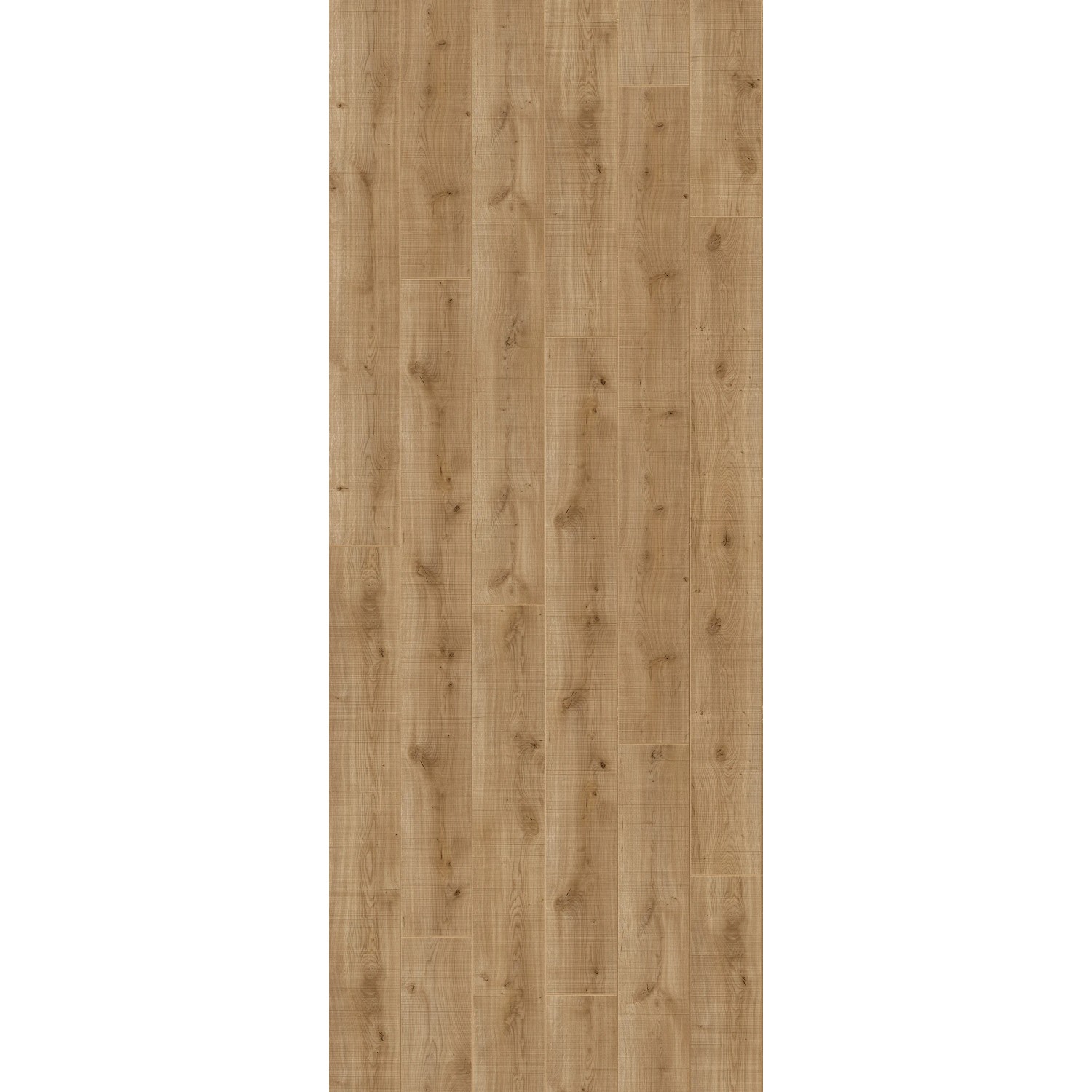 Parador Laminat Trendtime 6, 9mm, wasserfest, Eiche Holzfäller Optik. Laminatboden für Wohn- und Gewerberäume.