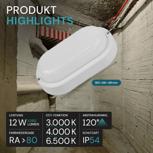 LUXULA Feuchtraumleuchte IP65 CCT 3000K-6500K Warm- Kaltweiß Ovalleuchte 12W Kellerlampe 1080lm Garagenleuchte Außenleuchte Weiß