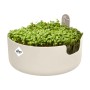Elho Topf Magic Microgreens, Ø 17 cm, leinenweiß, bepflanzt mit frischen Microgreens.