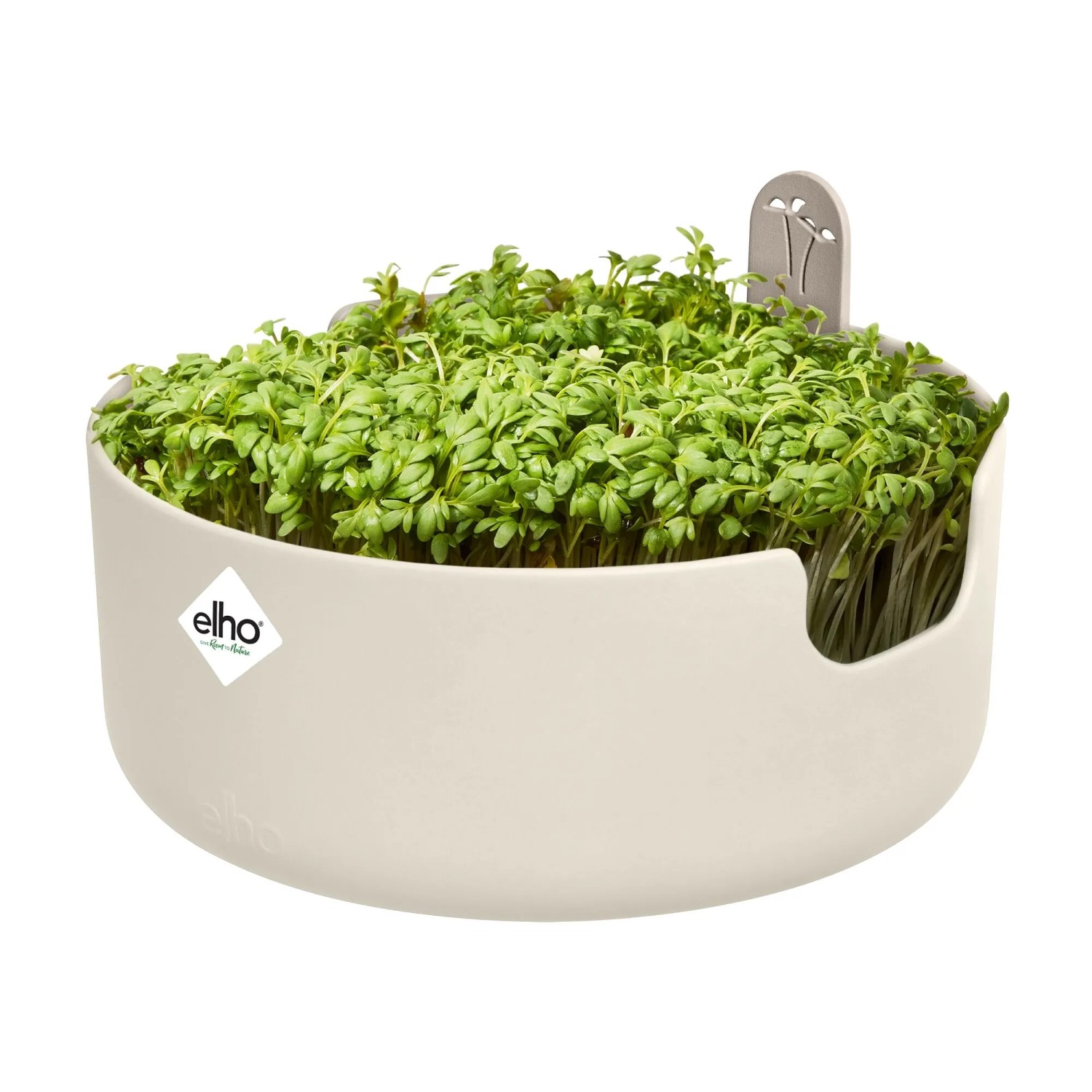 Elho Topf Magic Microgreens, Ø 17 cm, leinenweiß, bepflanzt mit frischen Microgreens.