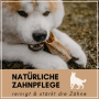 Supravit Schafhorn Größe L Kauspielzeug für Hunde_4