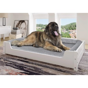 Weißes XXL Hundesofa aus Kiefernholz mit Bernhardiner im Tierbett 120x70 cm.