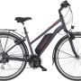 Fischer E-Bike Trekking ETD 1806: Graues E-Bike mit Gepäckträger und Akku am Rahmen.