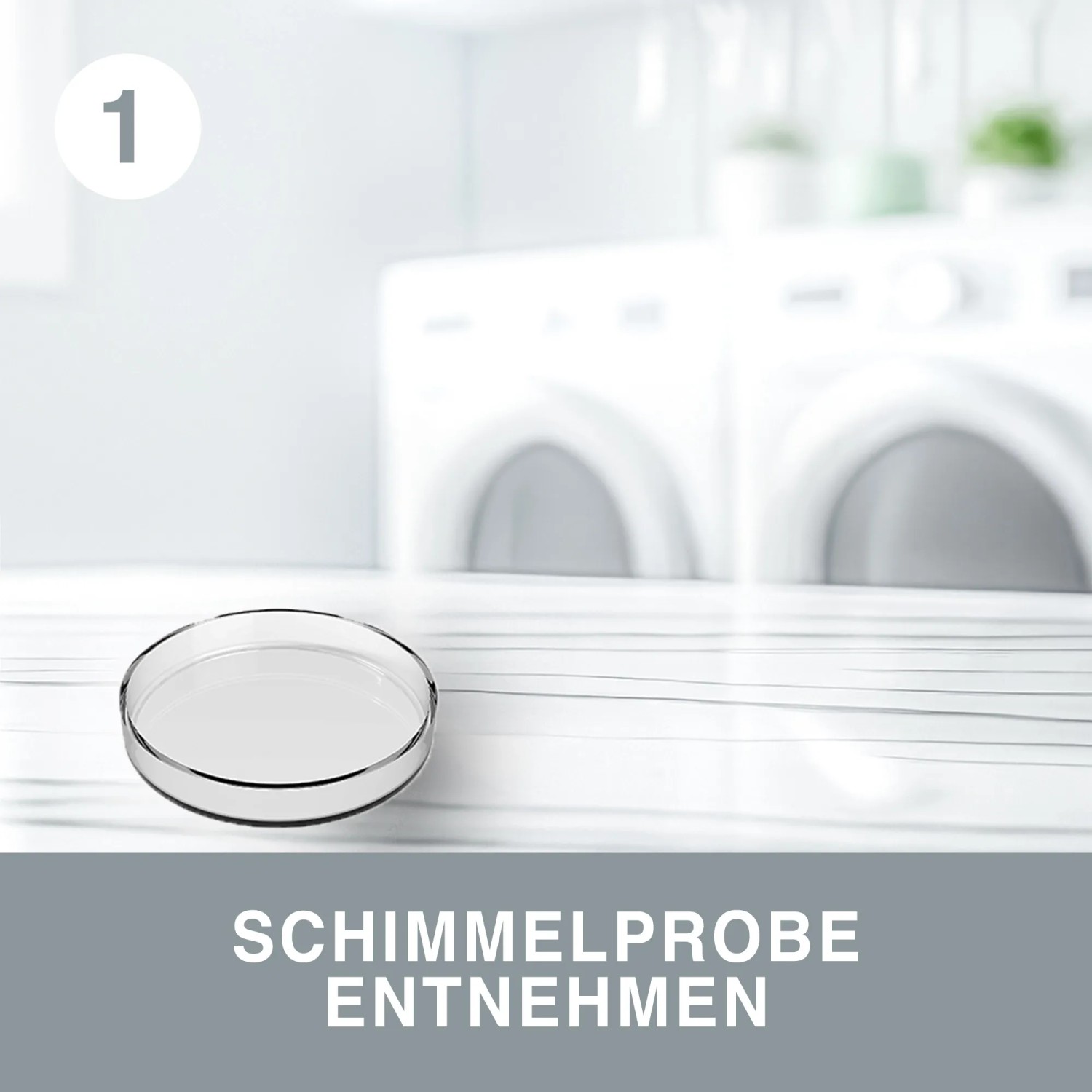 Adam Hall 88001MBR Tour Label Beschriftungsschild, braun günstig kaufen bei Huss Licht & Ton Adam Hall 88001MBR Tour Label Beschriftungsschild, braun günstig kaufen bei Huss Licht & Ton